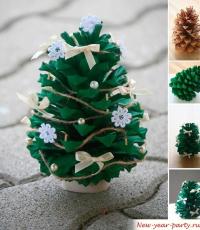 New Year's decorations from pine cones: features and secrets of making Decor of pine cones for the New Year